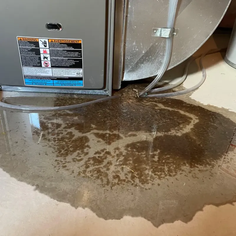 Appliance Leak Cleanup in Saguache County, CO