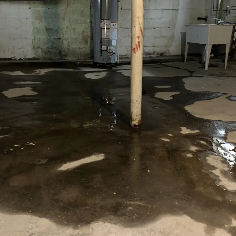 Emergency Water Extraction And Removal in Saguache County, CO